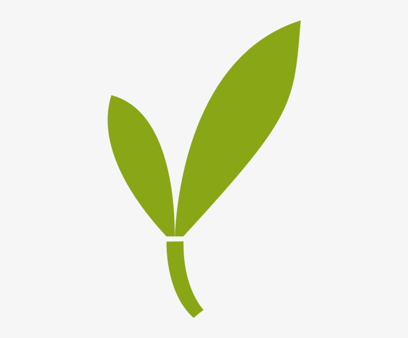 Main Logo - Bamboo Logo Png Transparent, transparent png #262317