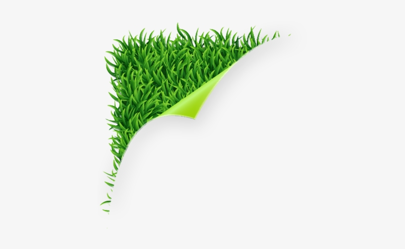 Corner Grass Png, transparent png #262883