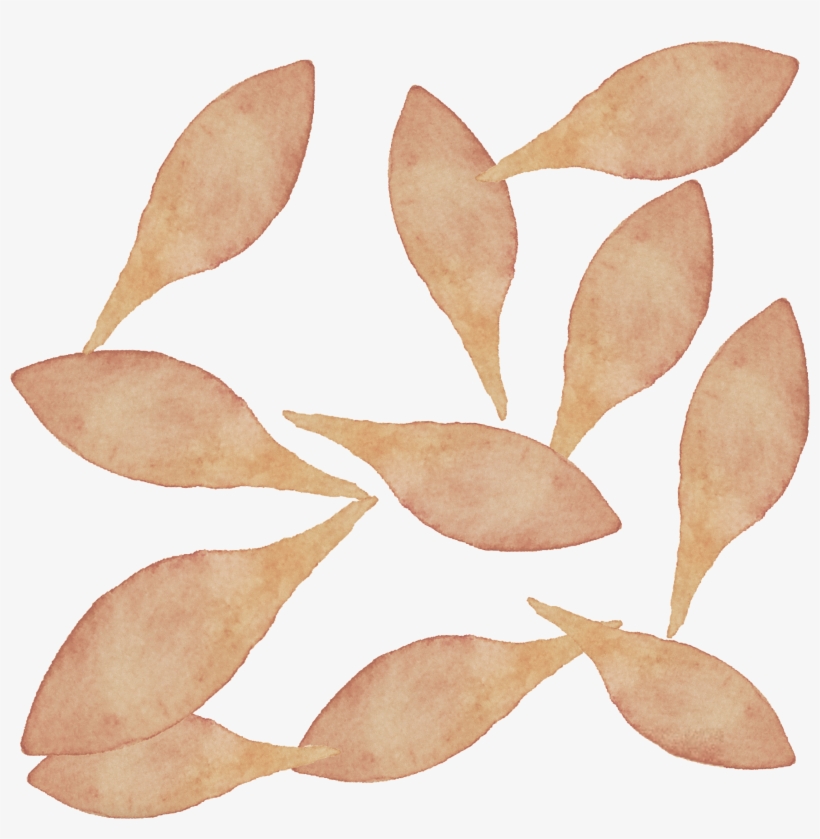 Watercolour Petals Watercolour, Pen And Wash, Watercolor - Hop Hornbeam, transparent png #263581