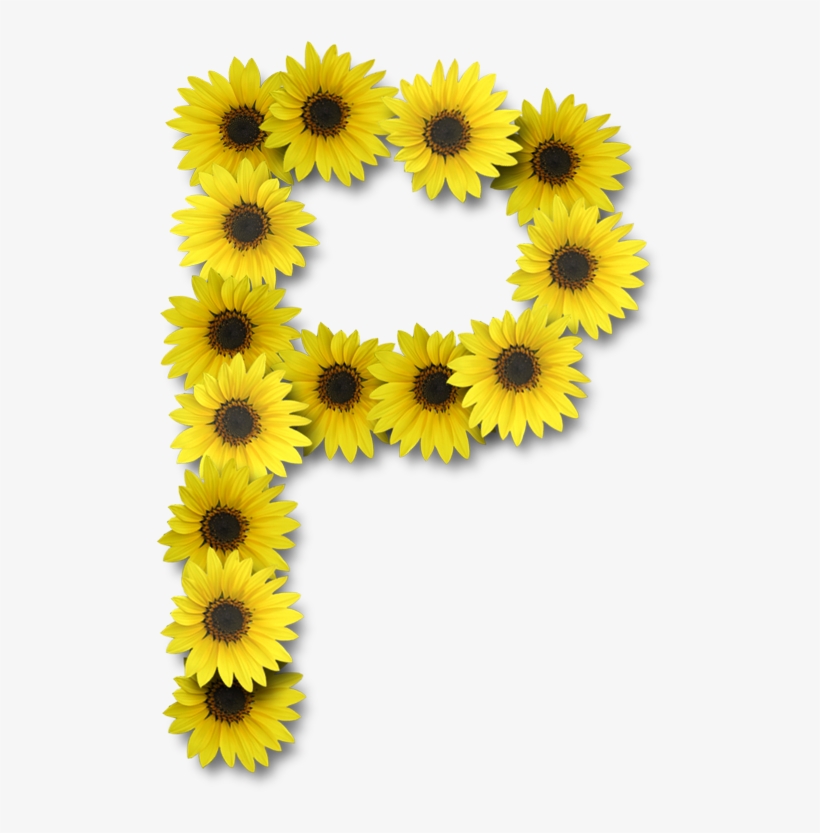 Alfabeto Sunflowers - Letter S With Sunflower, transparent png #263632