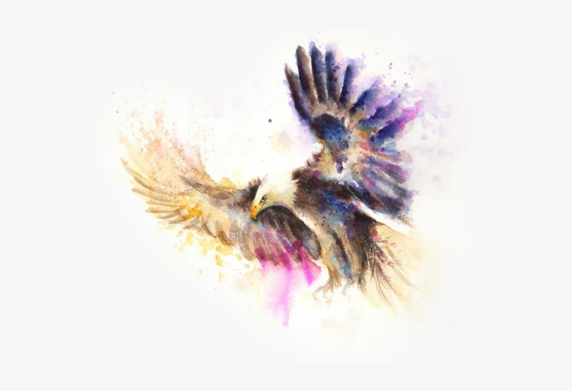 Paintings Of Eagle Flying, transparent png #263694