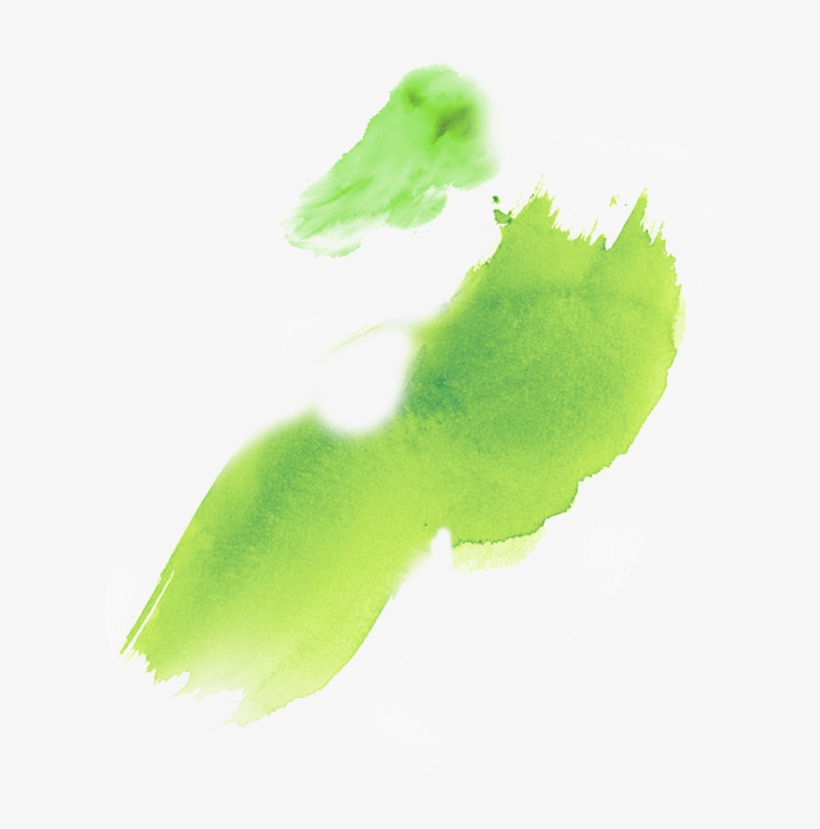 Prized Across Generations In South Africa For Its Powerful - Maidenhair Tree, transparent png #264002