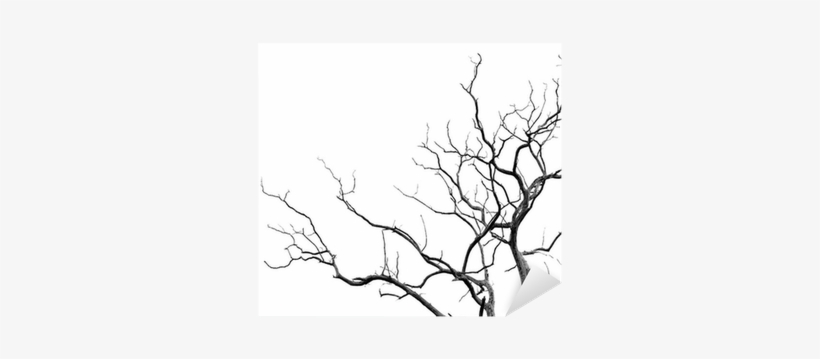 Tree, transparent png #264303