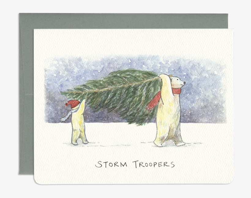 Polar Bear Holiday Greeting Card - Picture Frame, transparent png #265495