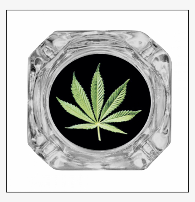 Noname Glass Ashtray Pot Leaf - Cannabis Poster-sticker Autocollant - Feuille De Chanvre, transparent png #265523