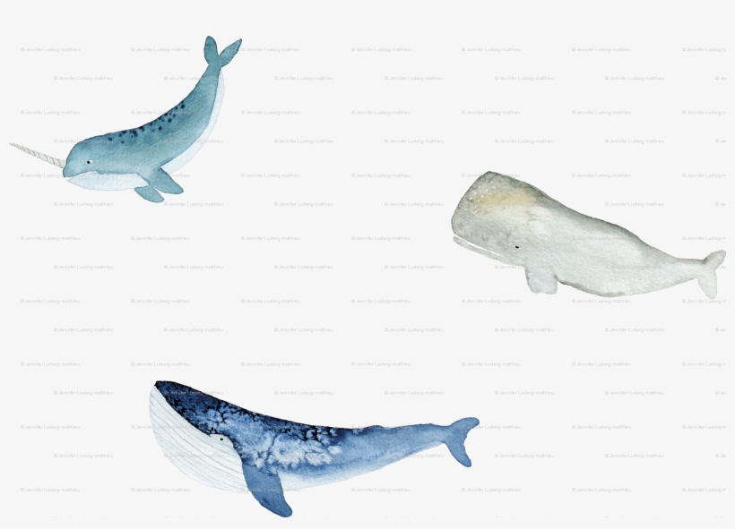 Blue Whale, transparent png #265987