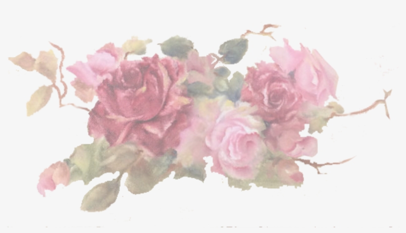 This Site Is Under Construction Meanwhile Visit My - Hybrid Tea Rose, transparent png #266039
