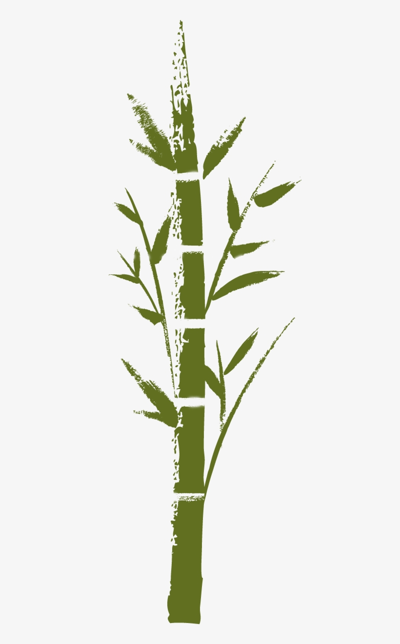 Bamboo - Twig, transparent png #266869