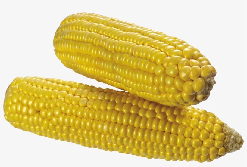 Corn Png Image Corn Png Image - Transparent Background Corn Transparent, transparent png #267492