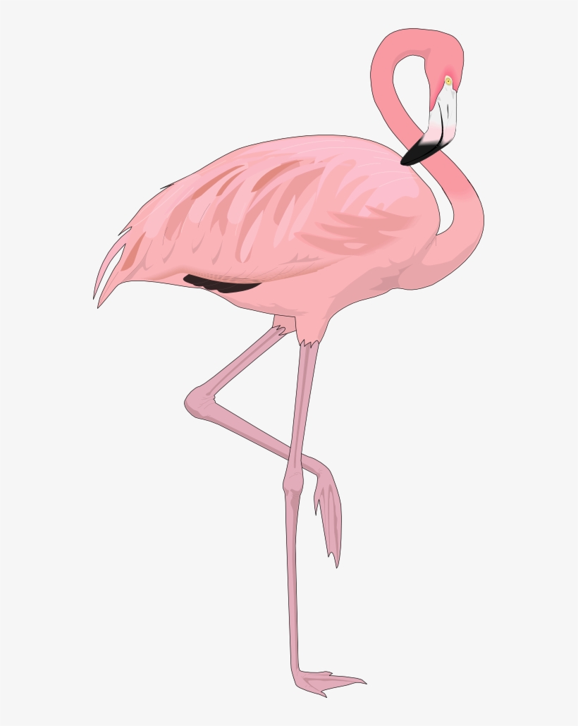 Clipart - Transparent Background Flamingo Png, transparent png #267668