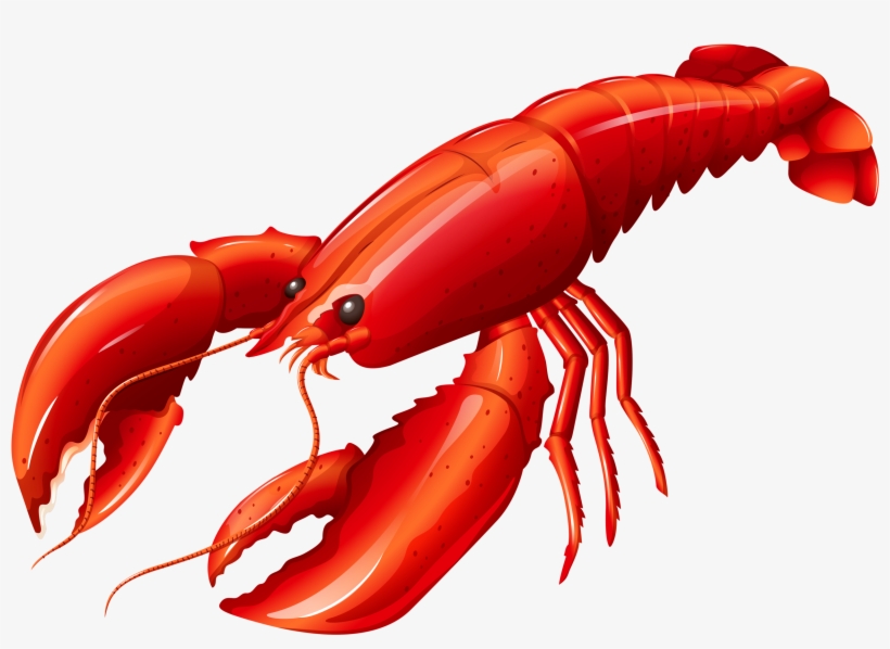 Black And White Download Png Clip Art Bears And Album - Lobster Clipart, transparent png #267816