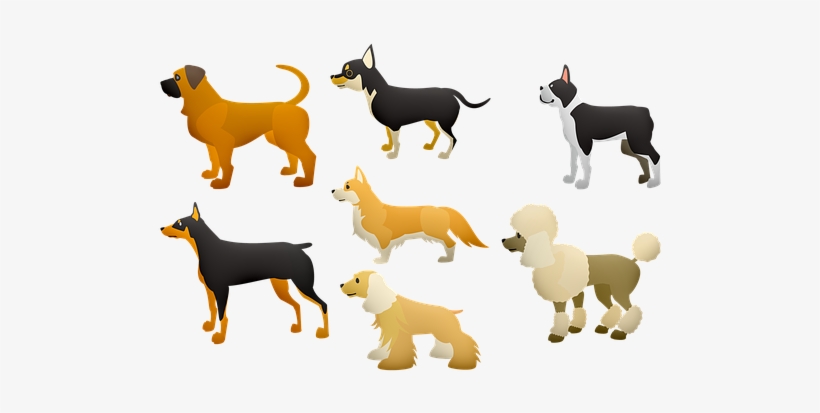 Dogs, Poodle, Large Dogs, Terrier, Pet - 犬 の 横顔 イラスト, transparent png #267858
