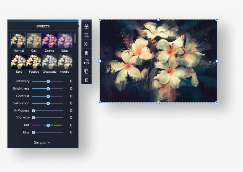 Blur Editor Preview - Grandfailure 'white Flowers In Dark' Canvas Gallery, transparent png #268408