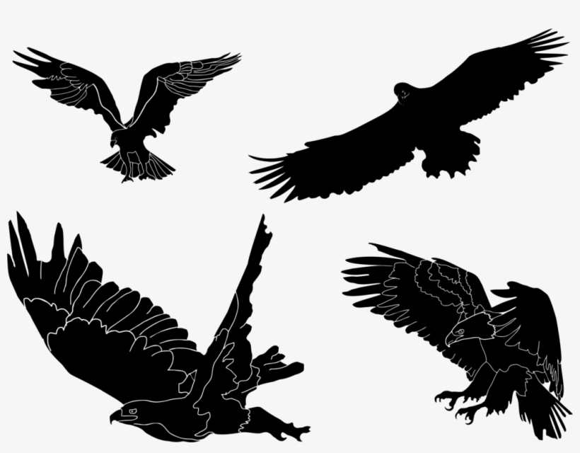Download 19 Eagles Svg Stock Mascot Huge Bie For Powerpoint Clip Art Free Transparent Png Download Pngkey