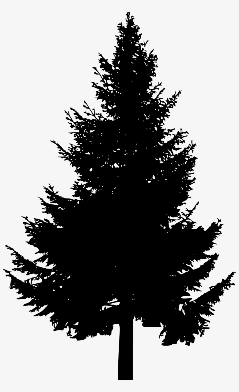 Pine Tree Silhouette Free Images Toppng Picture Royalty - Pine Trees Silhouette Png, transparent png #268817