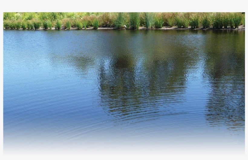 River Water Png - River Water River Png Hd, transparent png #269068