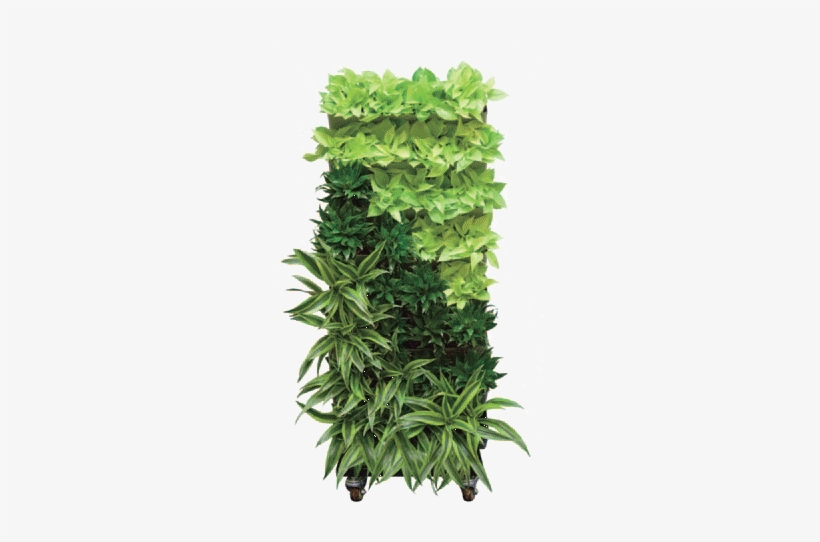 See The Living Walls Brochure - Green Walls Interior, transparent png #269173