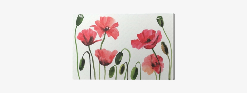 Watercolor Painting Of Red Poppies Canvas Print • Pixers® - Papavero Watercolor, transparent png #269750