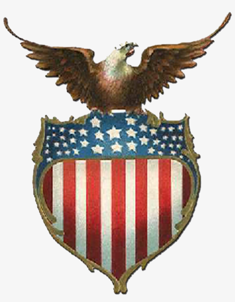 Usa Eagle Png - Eagle On A Shield American Flag, transparent png #269772