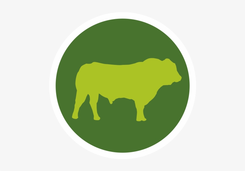 Bull - Beef, transparent png #269881