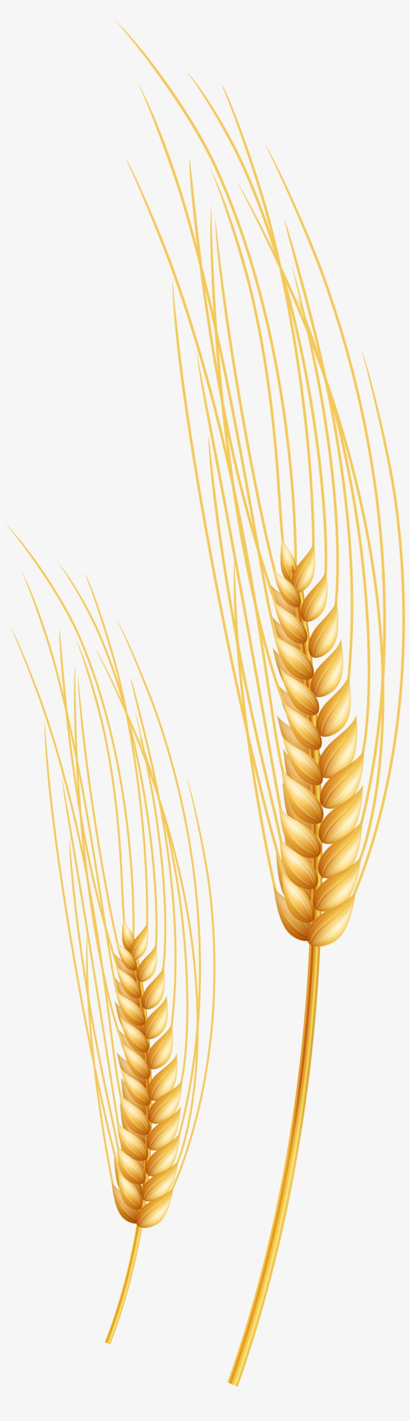 Wicker, transparent png #269903