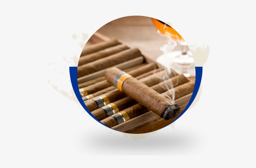 1787017 - Cuban Tobacco, transparent png #269972