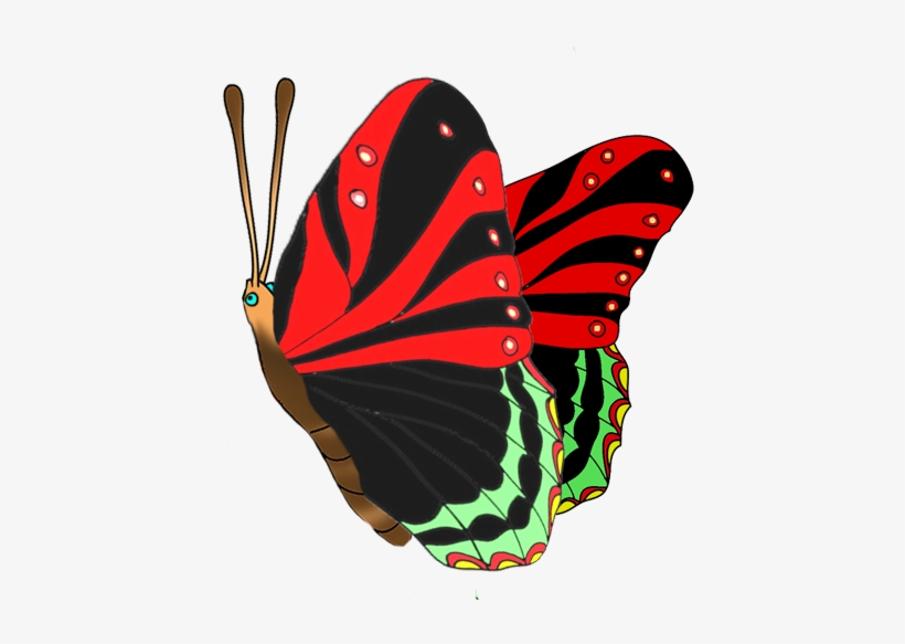 Colorful Butterflies Clipart, Black Red Butterfly Image - Butterfly, transparent png #2600390
