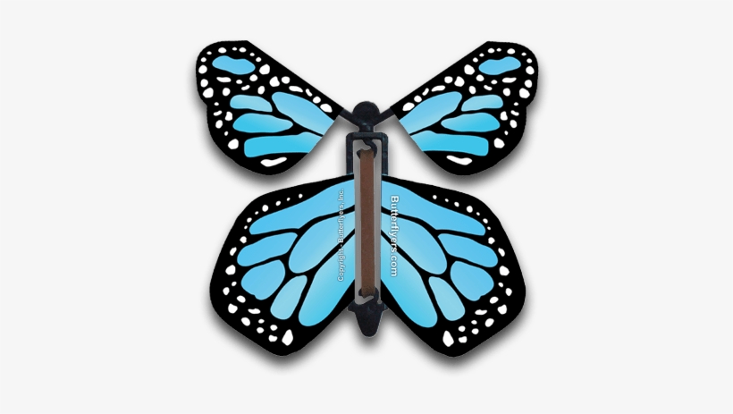 Sky Blue Monarch Magic Flying Butterfly - Greeting Card, transparent png #2600392