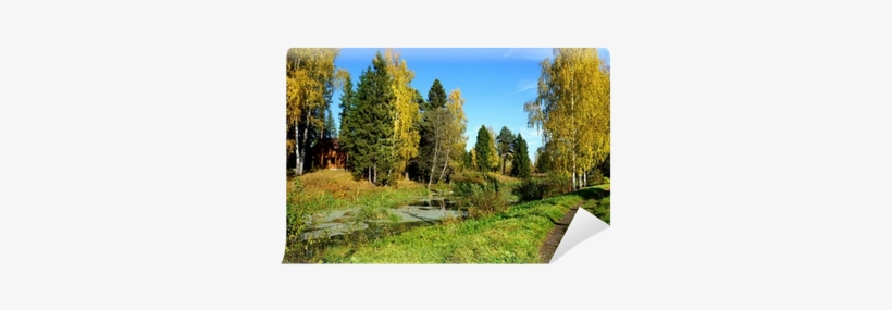 Landscape, transparent png #2601994