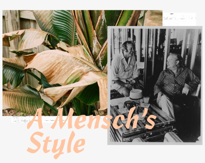 Mensch-style - Human, transparent png #2602016