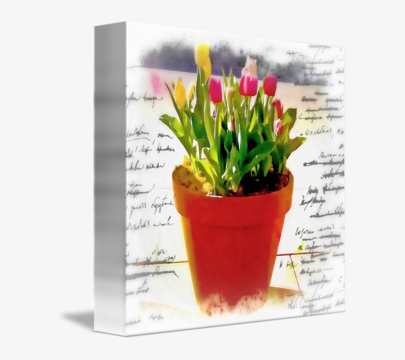 Watercolor Pot Of Tulips By Elizabeth Mix - Flowerpot, transparent png #2602144