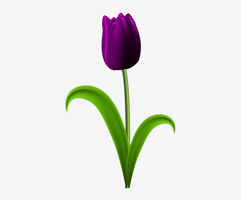 Purple Transparent Png Clip Art Image Various - Purple Tulip Flower Png, transparent png #2602295
