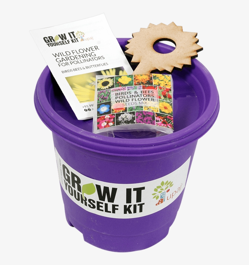 Birds & Bees Pollinators Giy Kit - Bee, transparent png #2602299