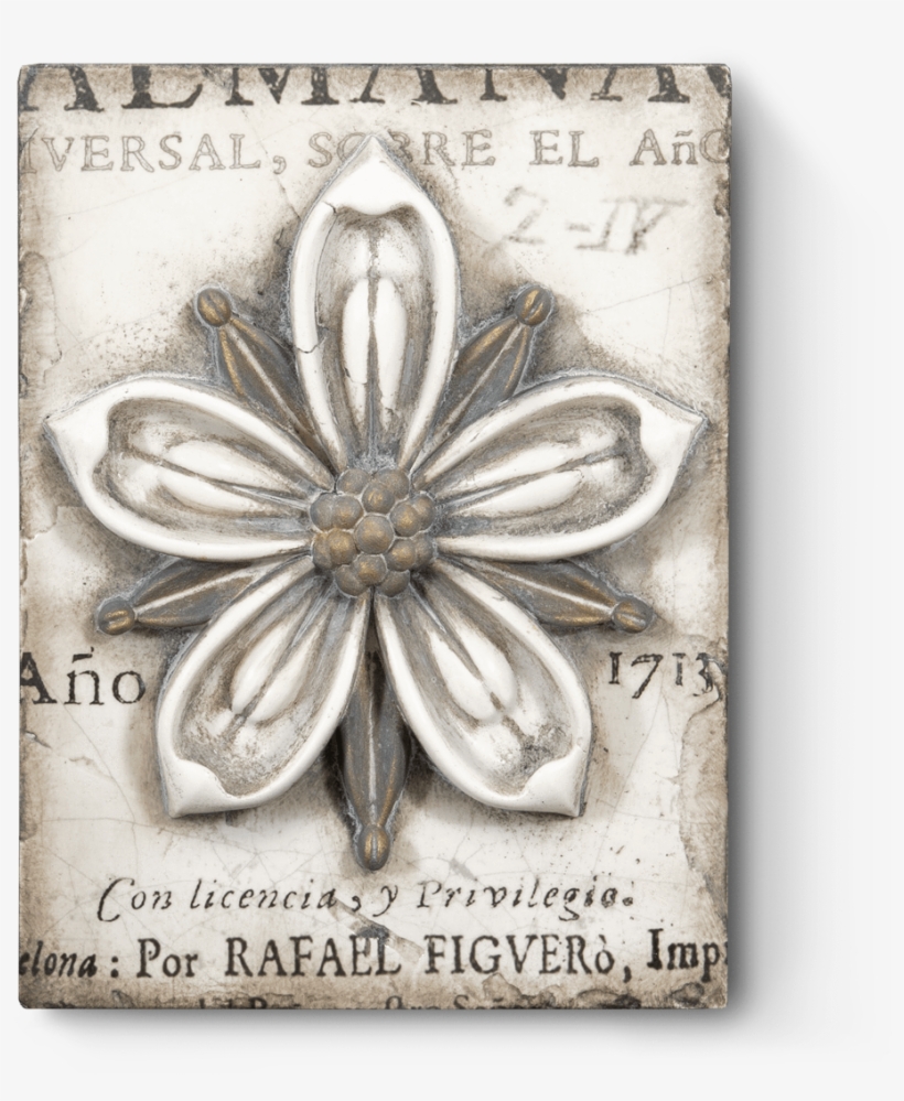 Cosmopolitan Flower T449 - Sid Dickens Inc, transparent png #2602326