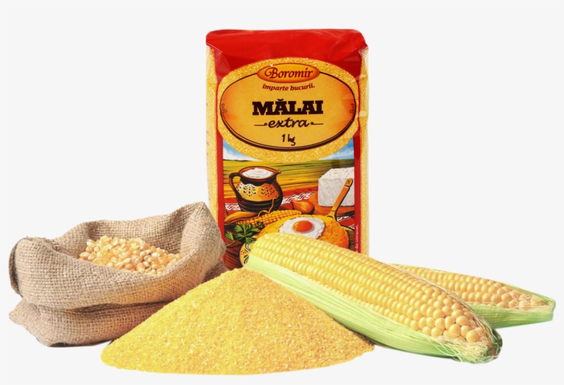 We Crossed The Country To Find New Habits - Maize, transparent png #2602723