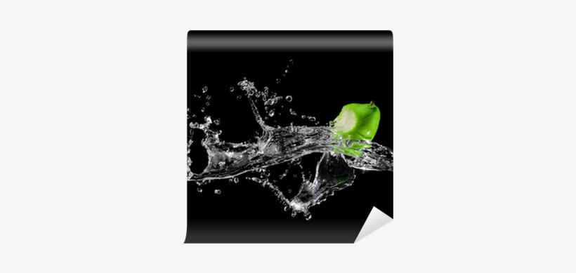 Photograph, transparent png #2602724