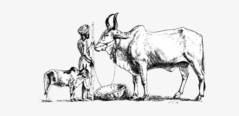 Our Flowers Services - Short Film, transparent png #2602999