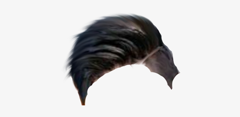 Cb Hair Png - Wild Turkey, transparent png #2603665