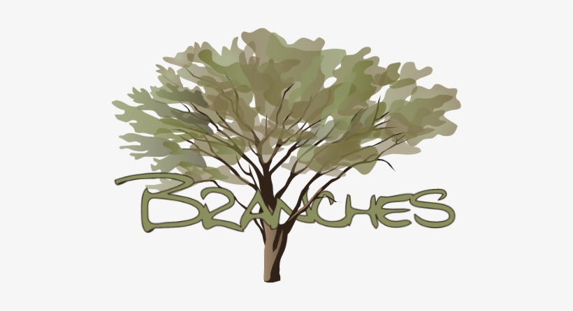 The Classes In Our Branches Series Are Shaped For Current - Nitrogen Fixing Trees, transparent png #2604771