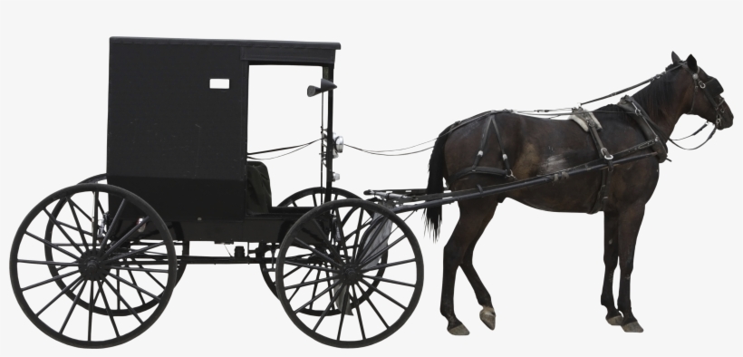 Horse And Cart - Horse And Cart Png, transparent png #2604940