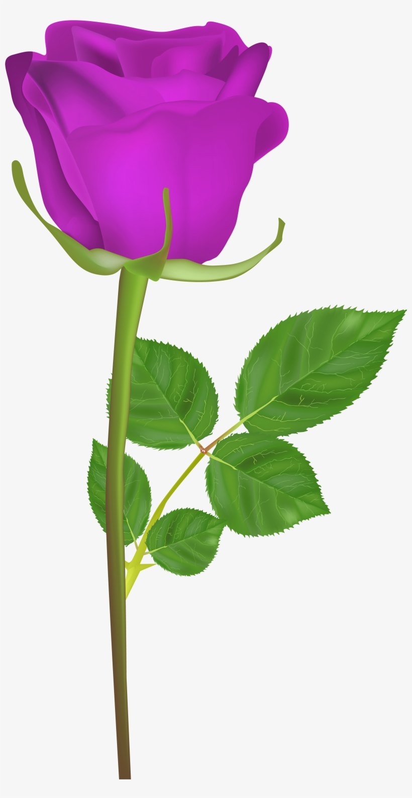 Rose With Stem Purple Png Clip Art Imageu200b Gallery - Good Morning Hd Gif 2018, transparent png #2605904