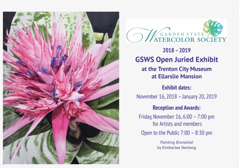 Picture - Red Clover, transparent png #2606234