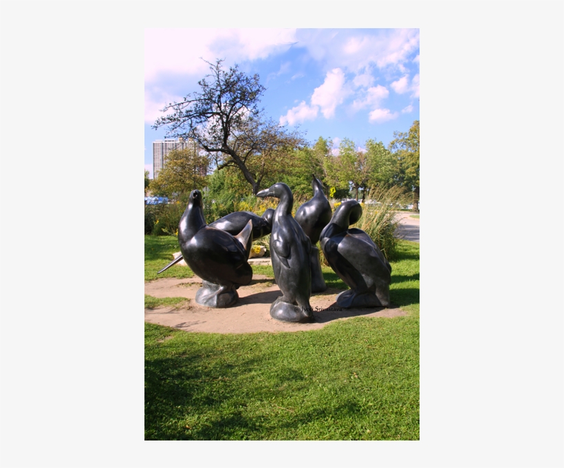 The Lost Bird Project By Todd Mcgrain - Statue, transparent png #2606604