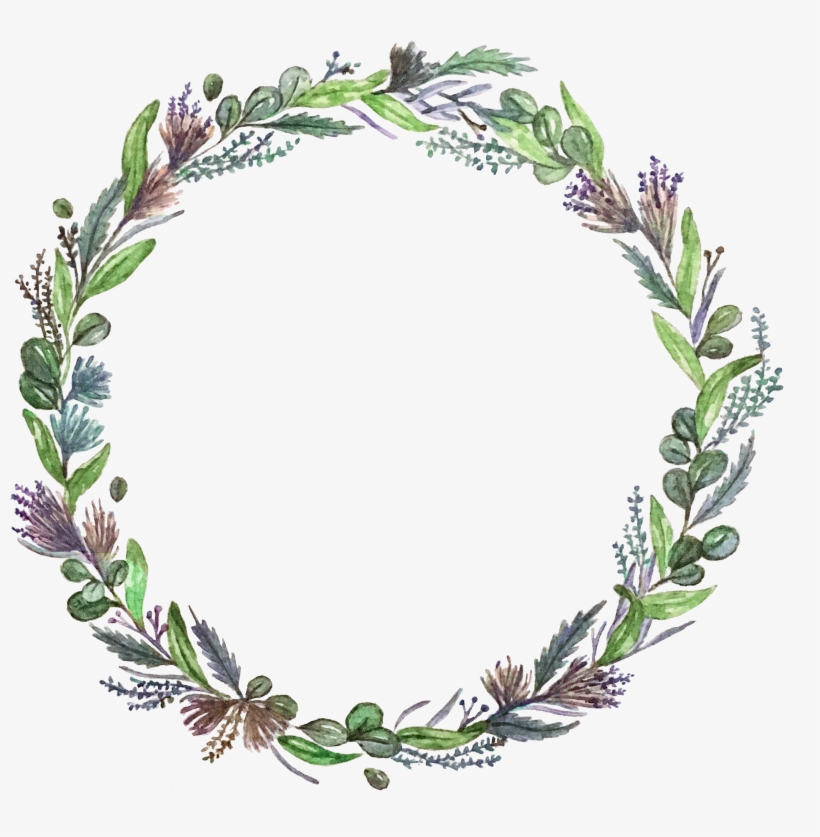 Floral Illustration, transparent png #2607173