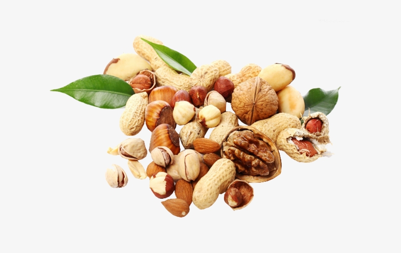 Dryfruits Sourced From Best Origins From All Parts - Gesund Mit Nüssen By Gabriele Schwarz 9783776627015, transparent png #2607488