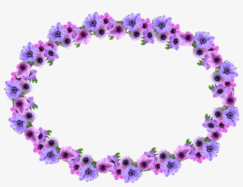 Frame, Border, Anemone, Oval, Decoration - Stock.xchng, transparent png #2609014