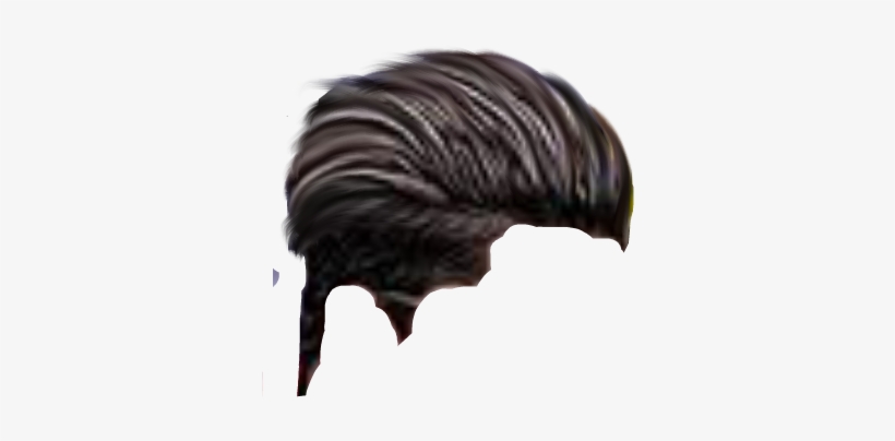 Cb Hair Png - Kilometre, transparent png #2609095