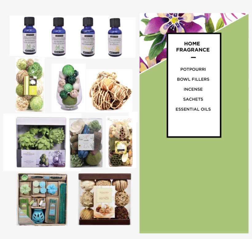 Passion Flower, transparent png #2609117