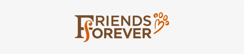 Friends Forever Group