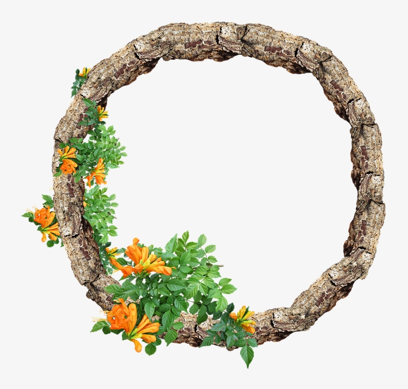 Frame, Border, Rustic, Floral, Pine - Rustic Border, transparent png #2609302